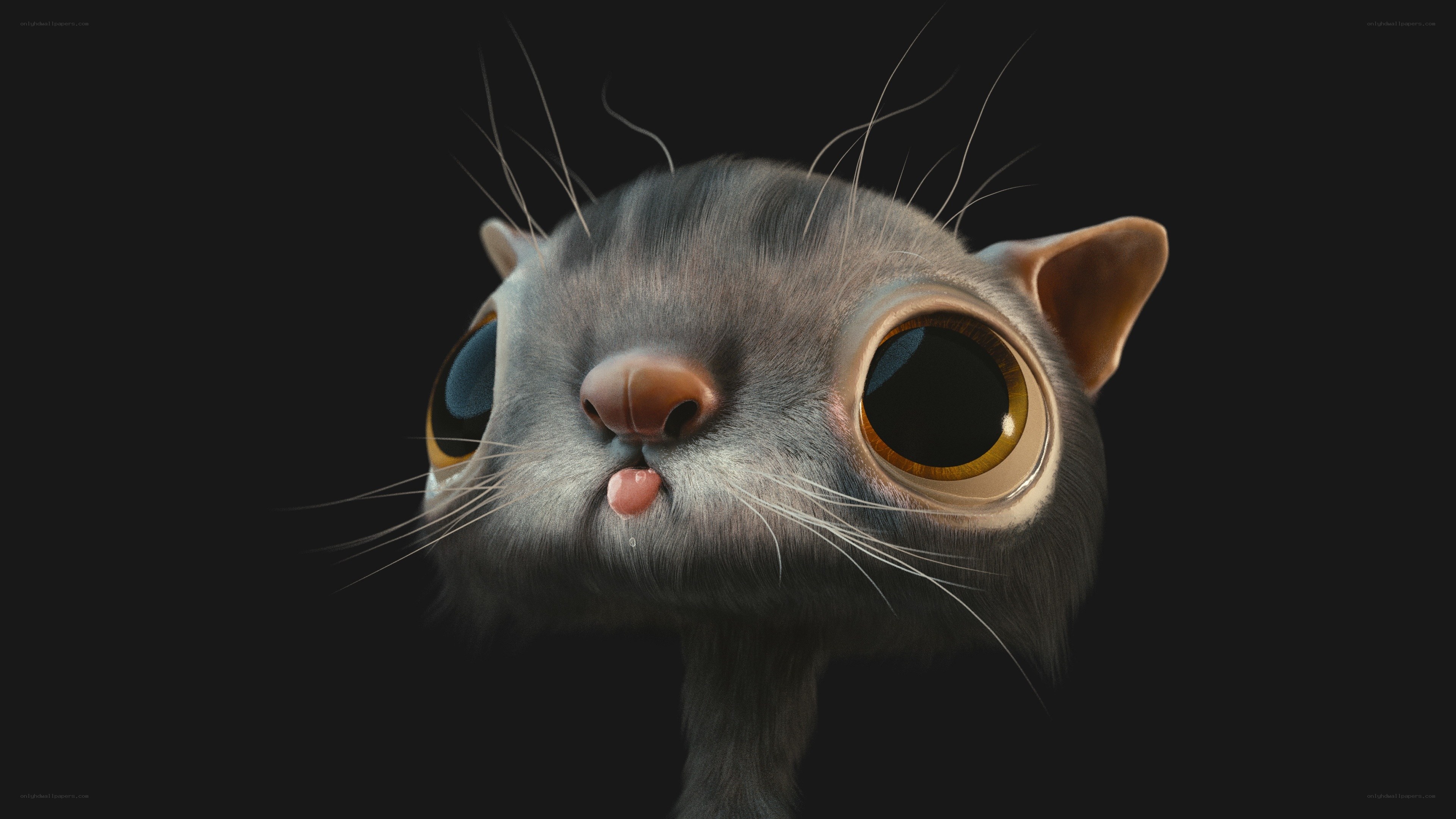 cartoon cat with big eyes