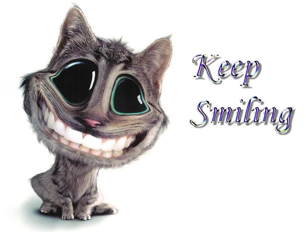 cartoon cat with big smile