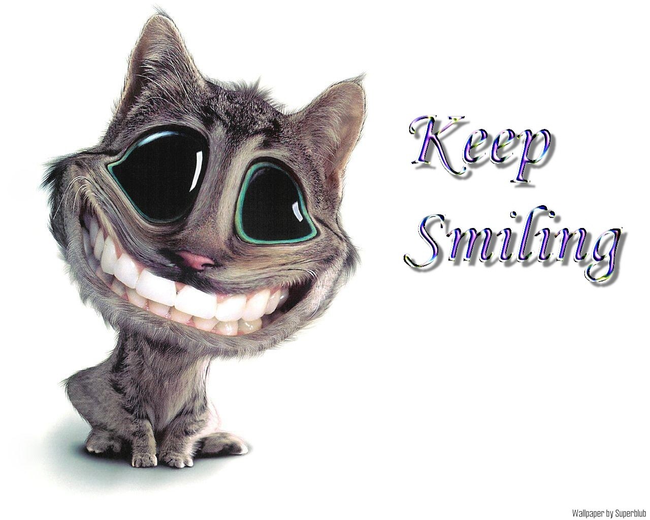 cartoon cat with big smile