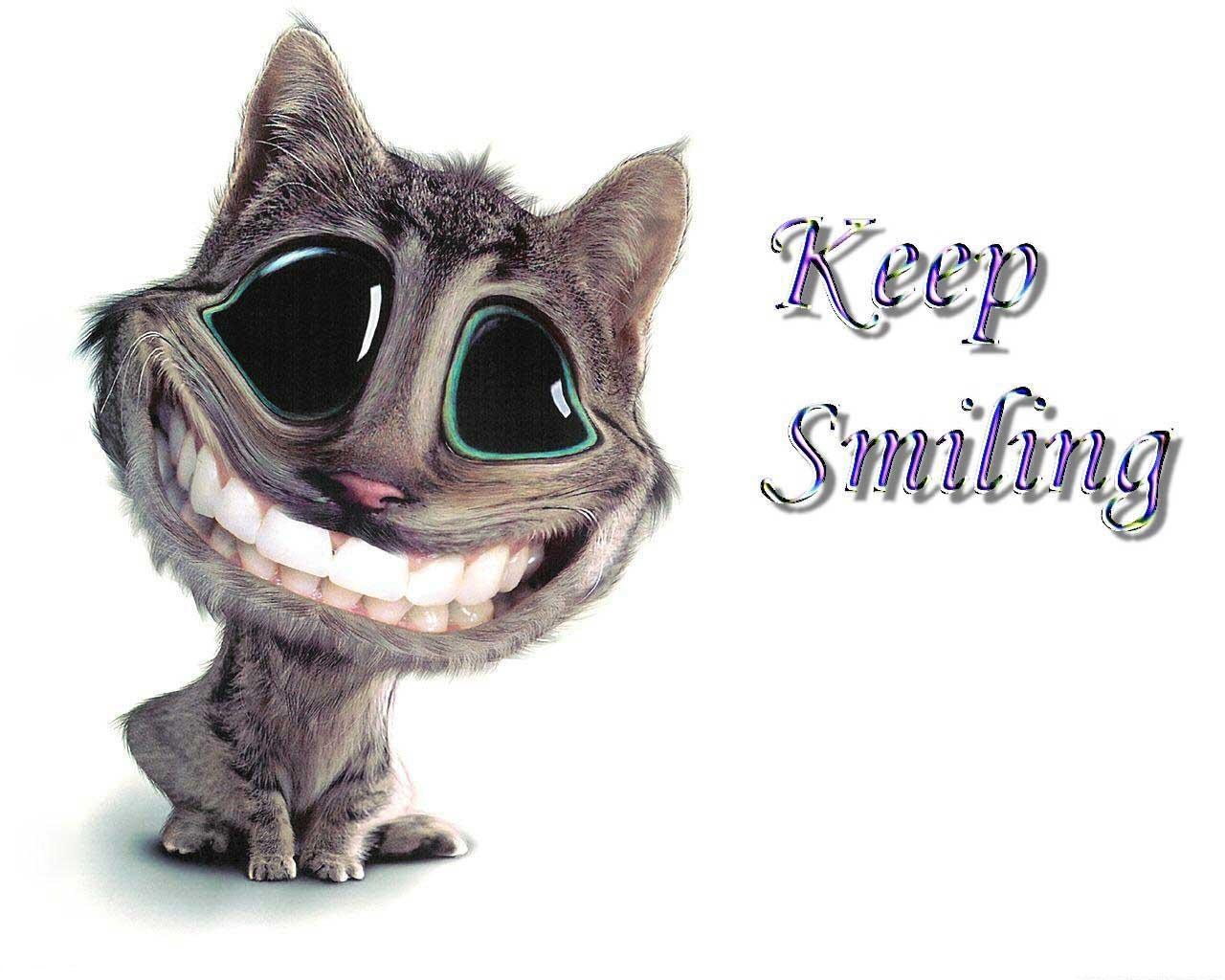 cartoon cat with big smile