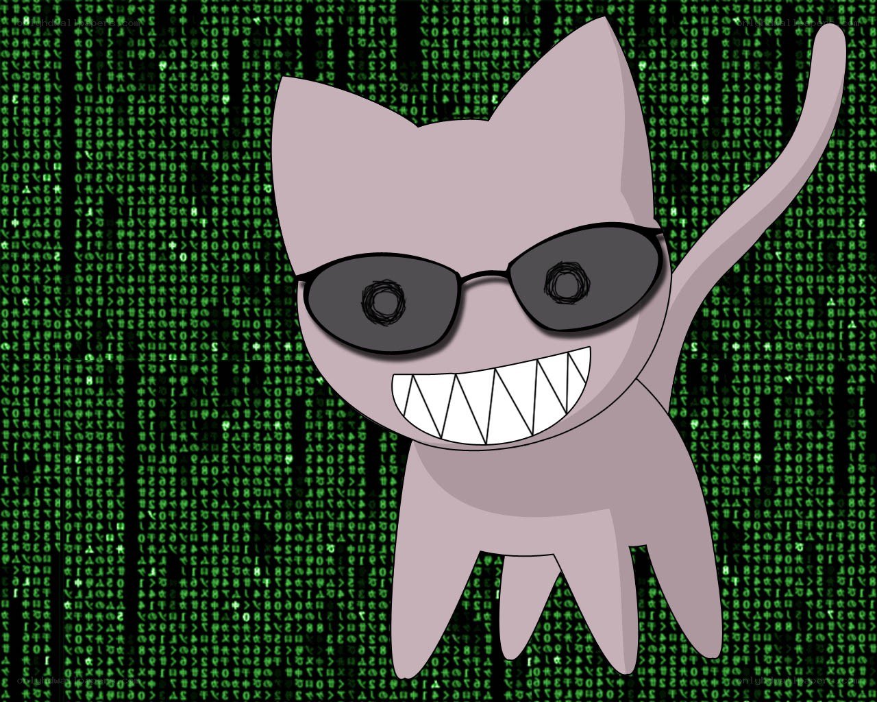 cartoon cat with sunglasses