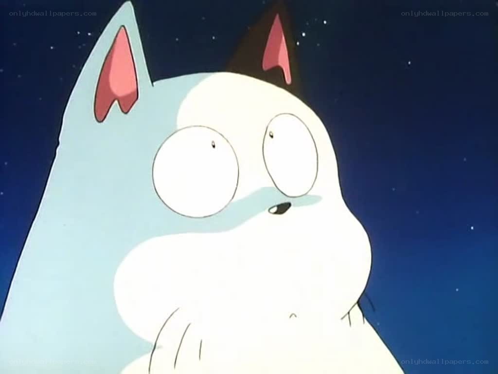 cartoon cat with wide eyes