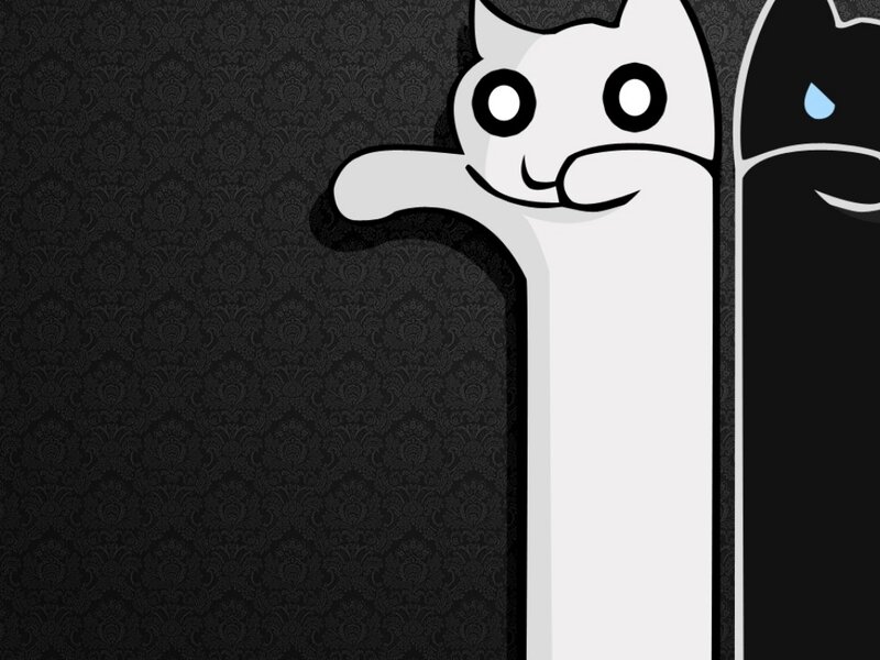 cartoon cats on patterned background