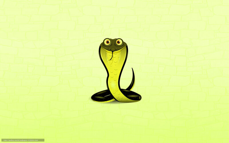 cartoon cobra on green wall