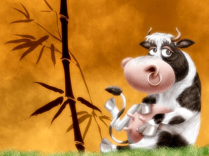 Cartoon Cow Sitting