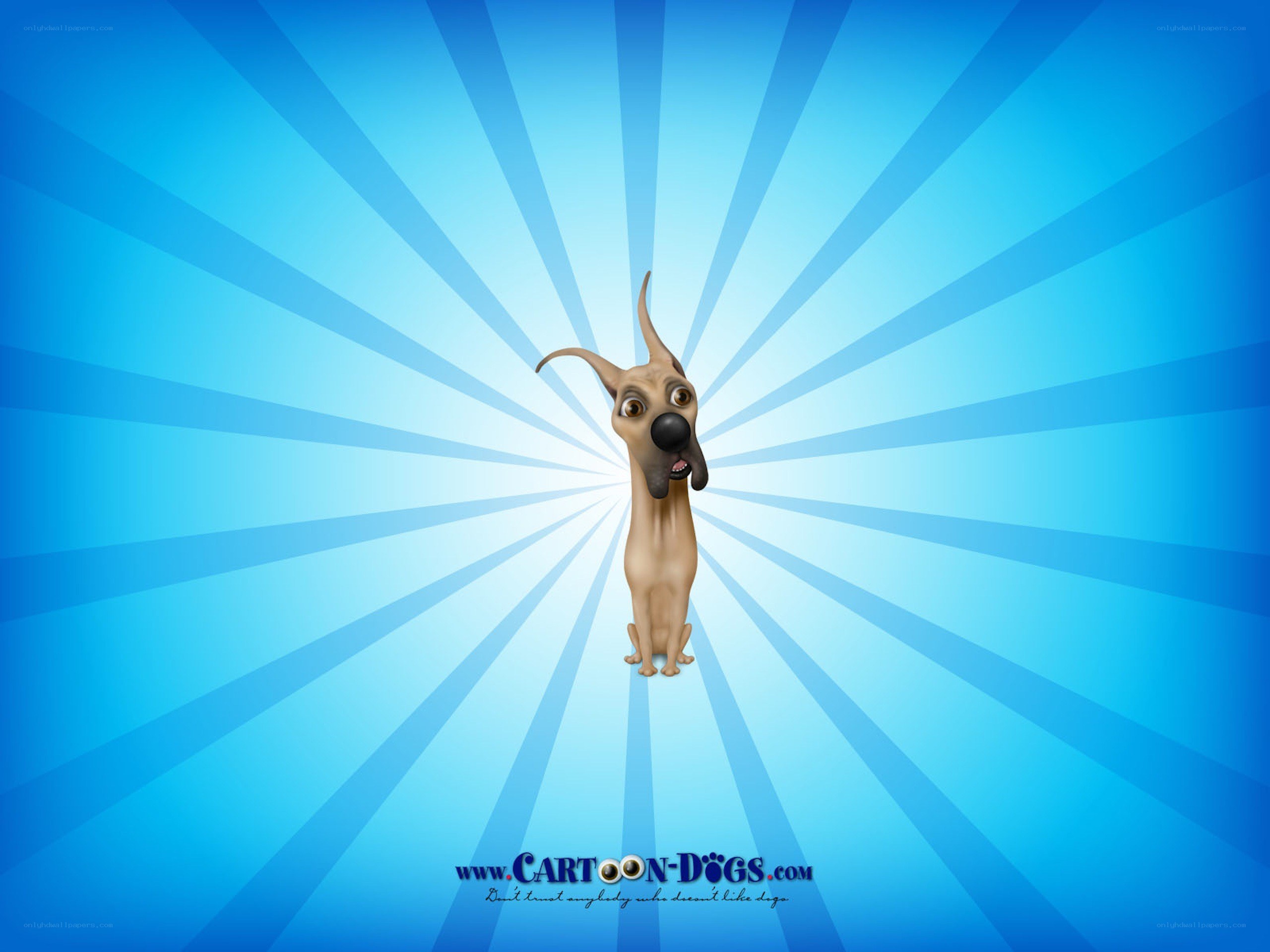 cartoon dog on blue background