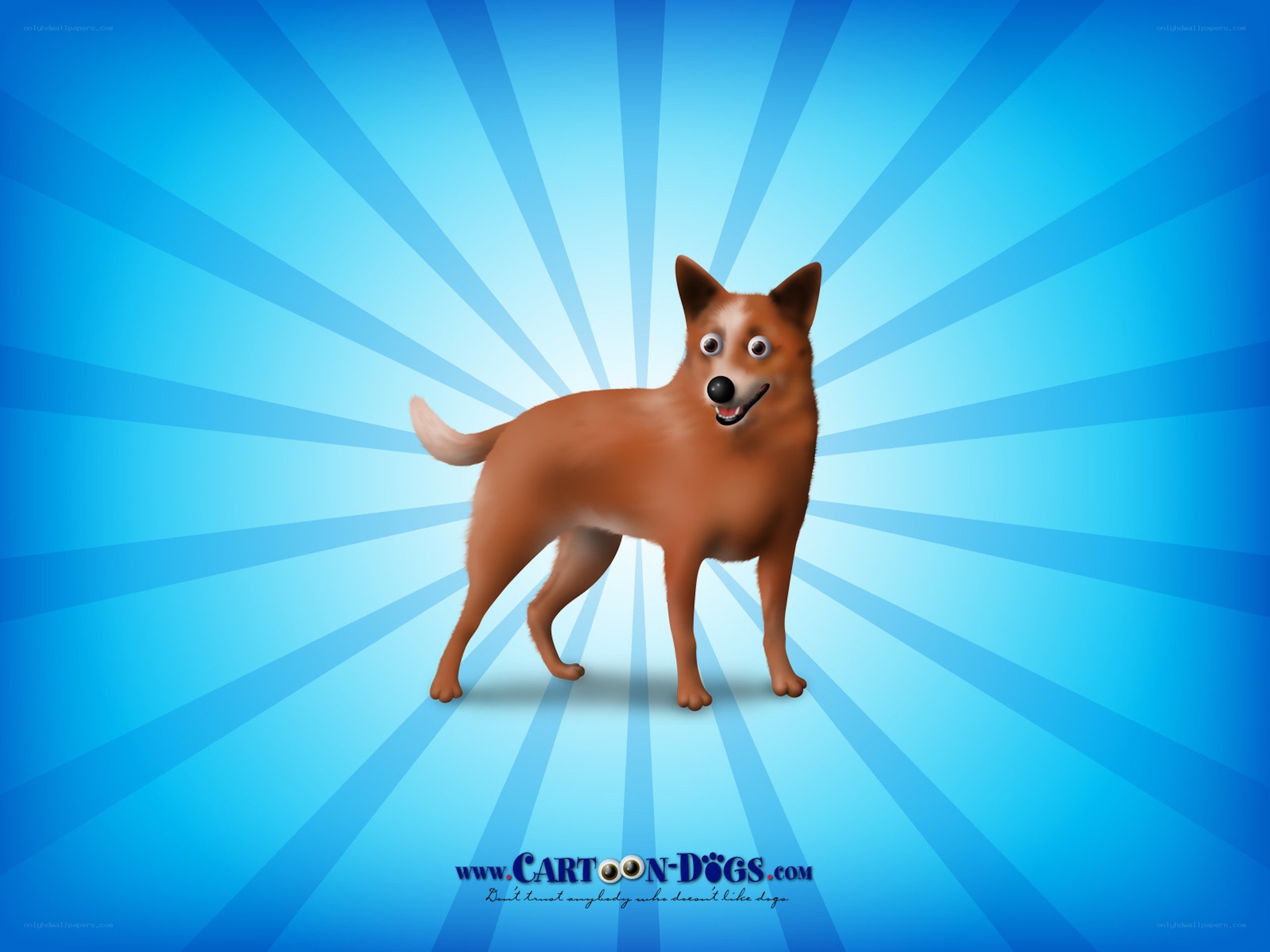 cartoon dog on blue background
