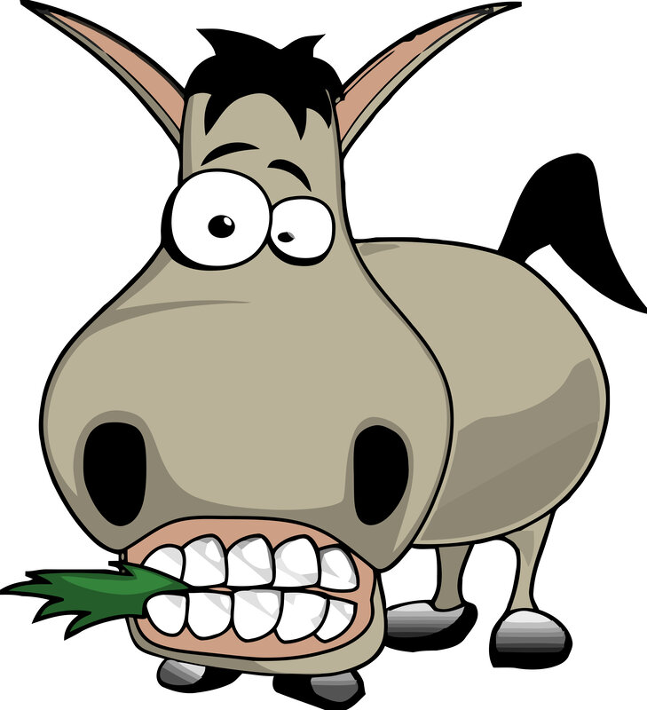 cartoon donkey eating grass