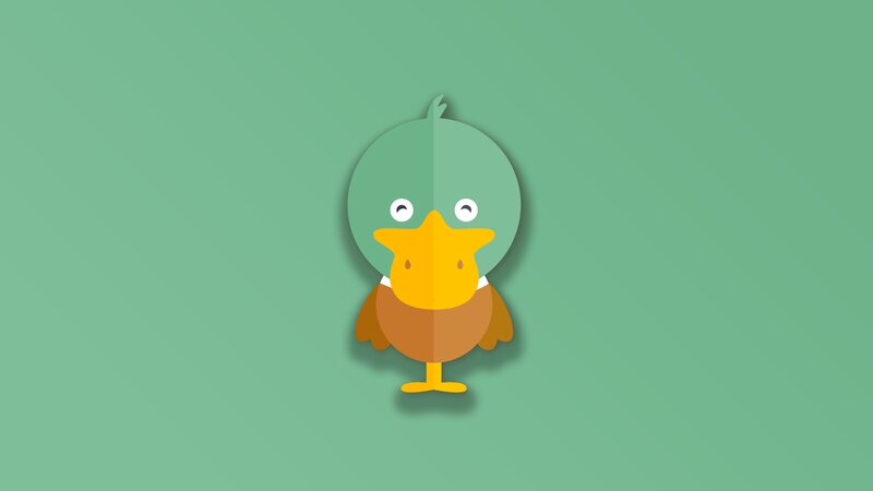 Cartoon Duck Character