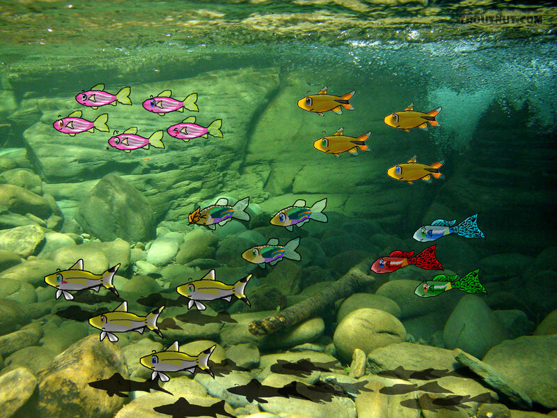 Cartoon Fish in River