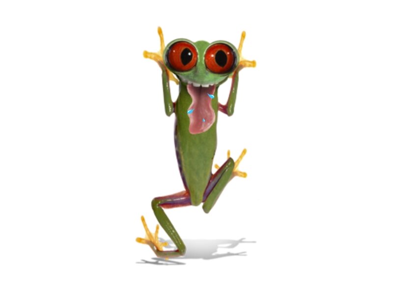 cartoon frog jumping
