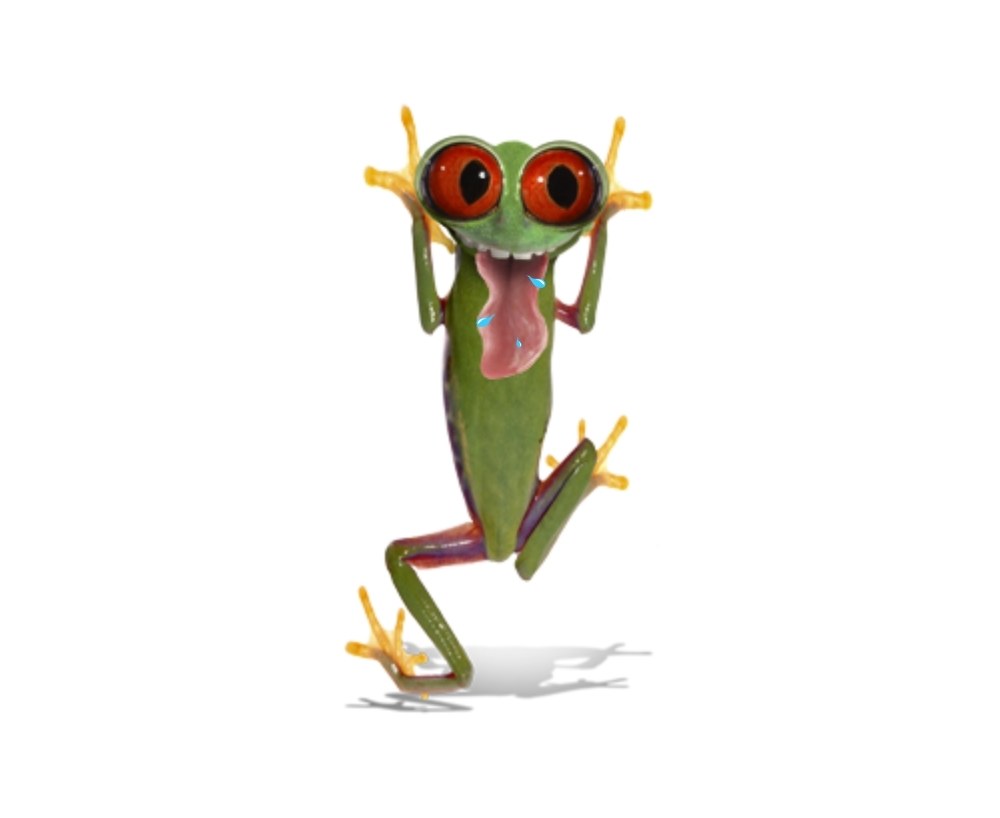 cartoon frog with big eyes