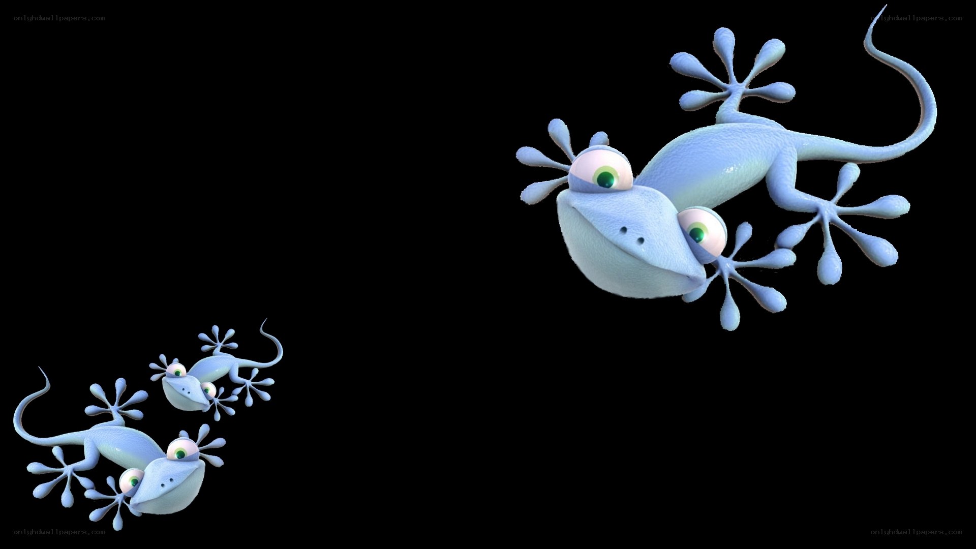 cartoon geckos on black