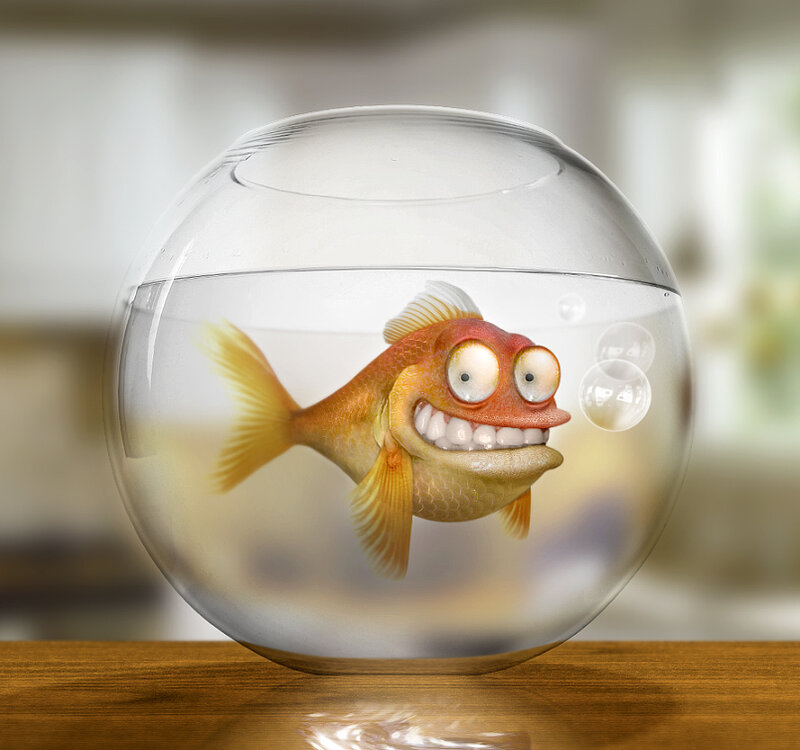 cartoon goldfish in a bowl
