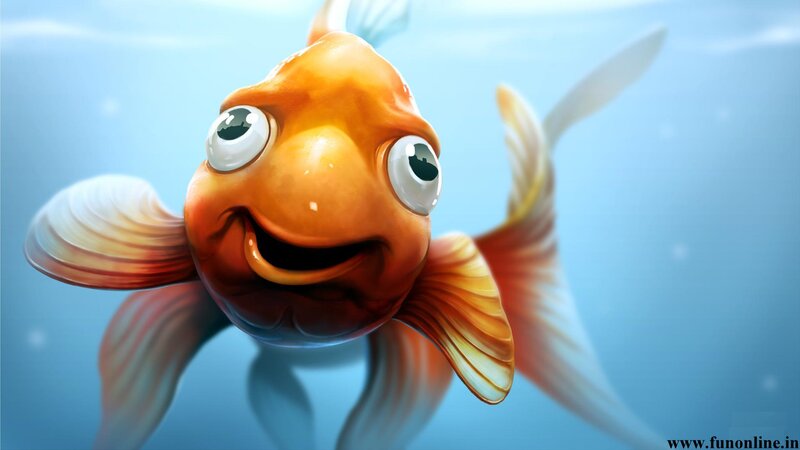 Cartoon Goldfish