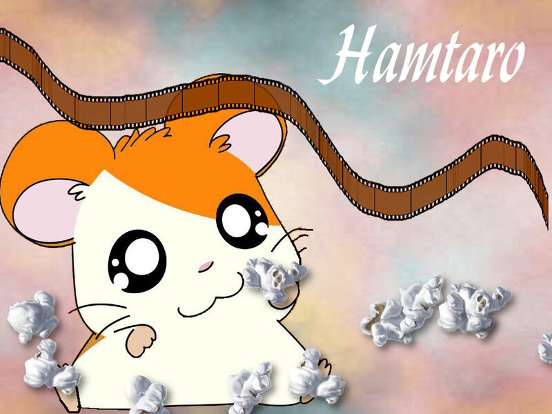 Cartoon Hamster Eating Popcorn