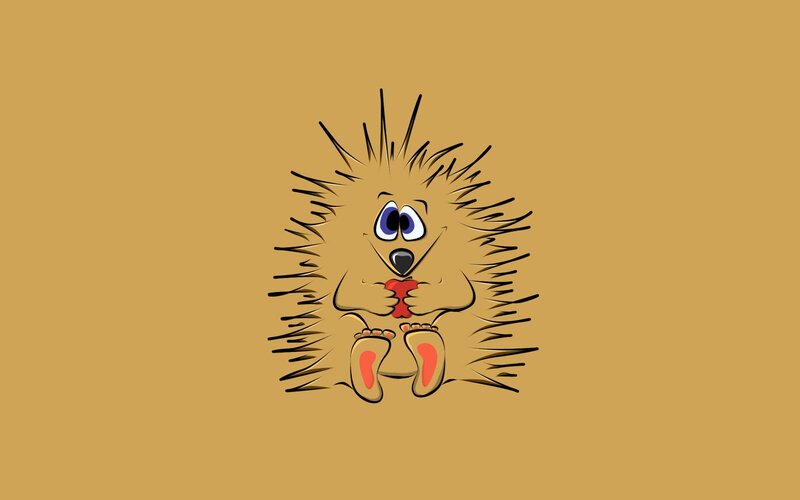 cartoon hedgehog holding heart