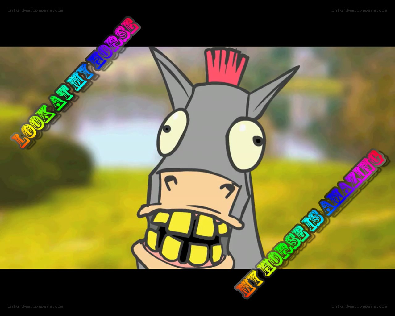 cartoon horse with text