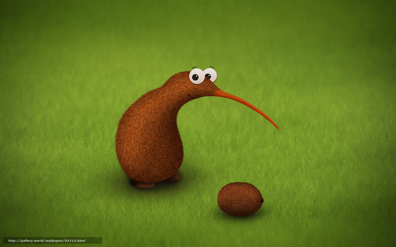 cartoon kiwi bird on grass