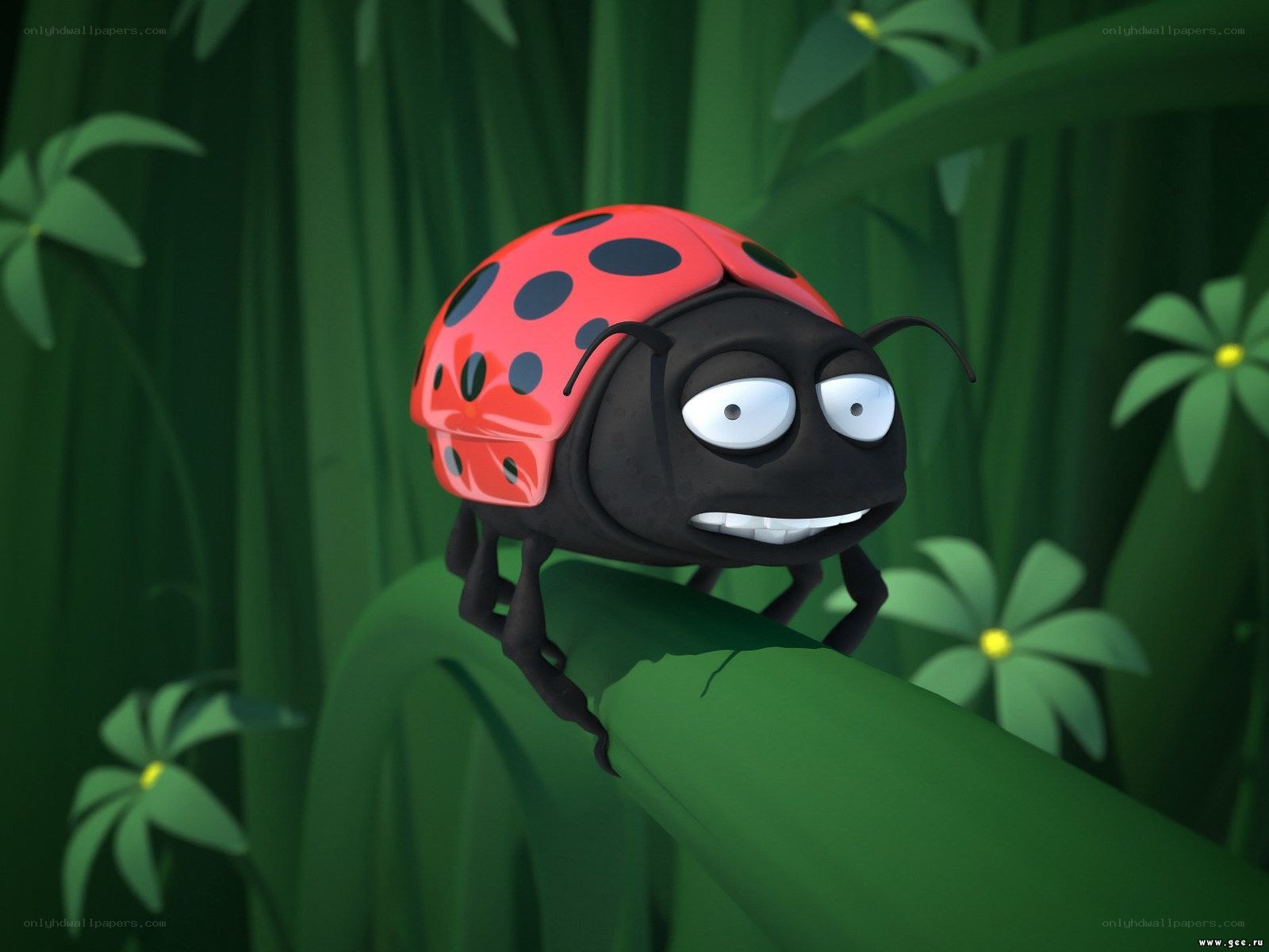 cartoon ladybug on a leaf
