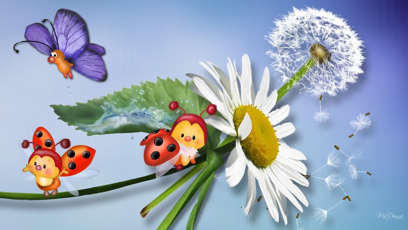 Cartoon Ladybugs on Daisy