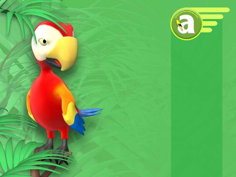 Cartoon Macaw Parrot