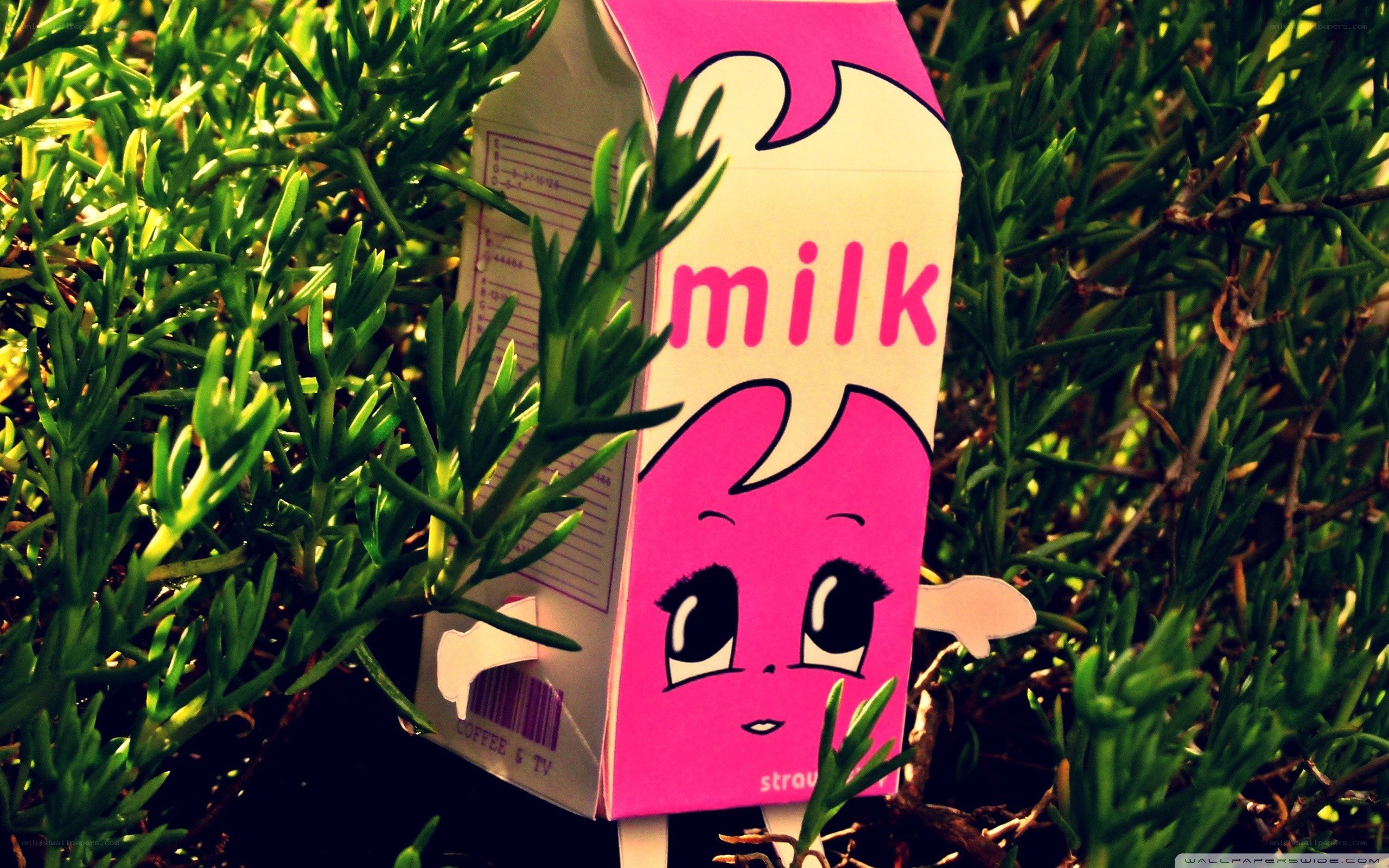 Cartoon milk box in plants