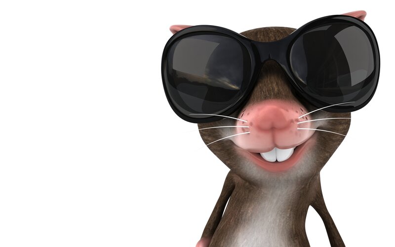 Cartoon Mouse Wearing Sunglasses