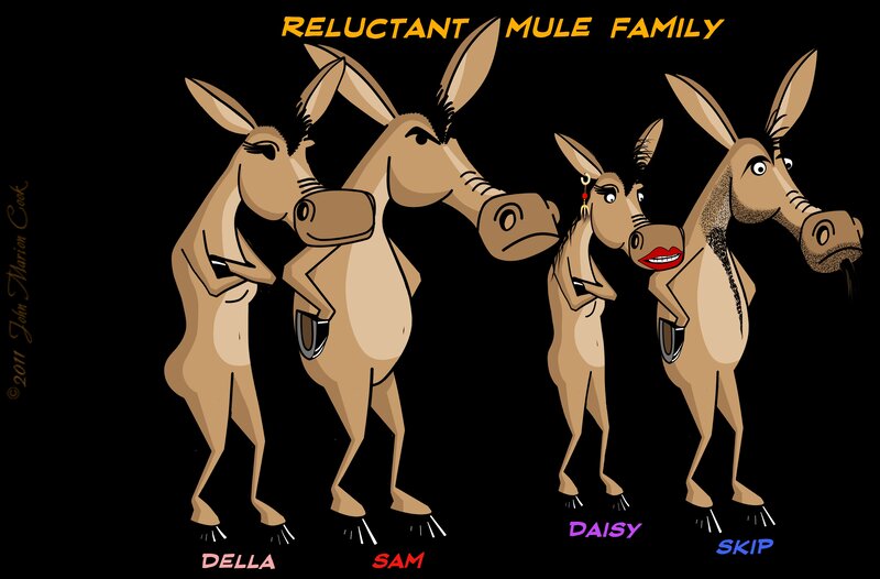 Cartoon Mule Family