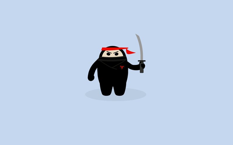 cartoon ninja character