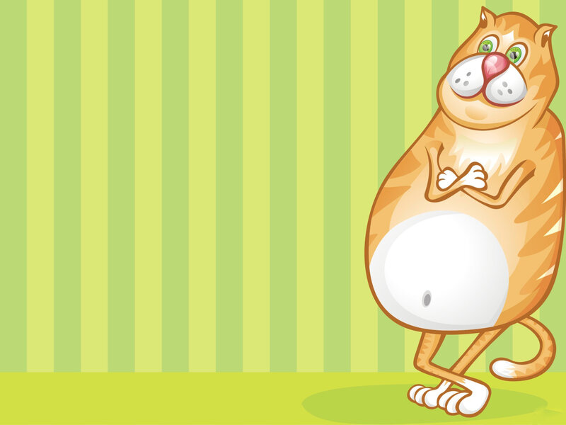 Cartoon Orange Cat — Green