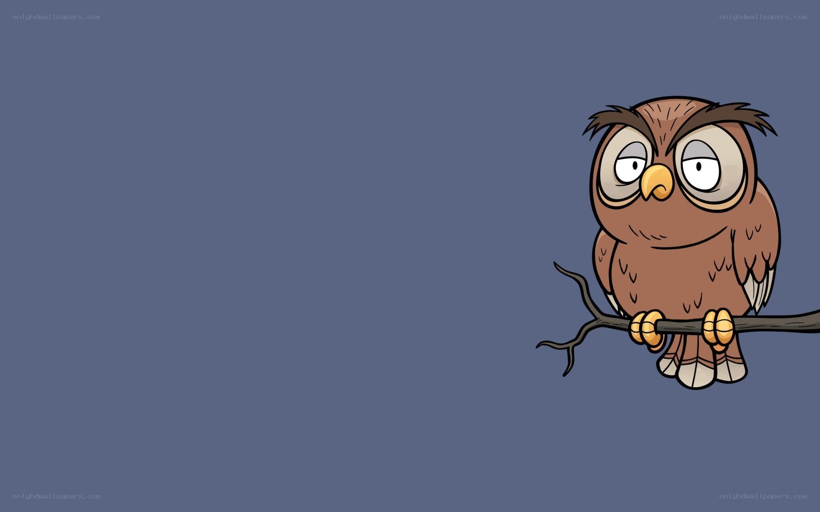 cartoon owl on a branch