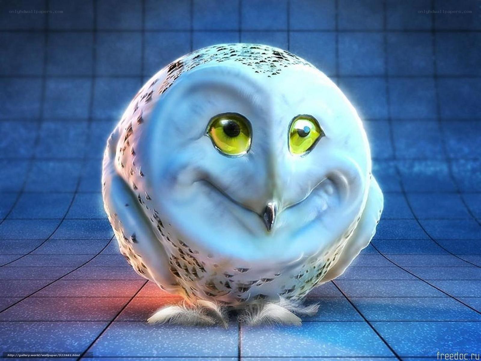 cartoon owl on blue grid
