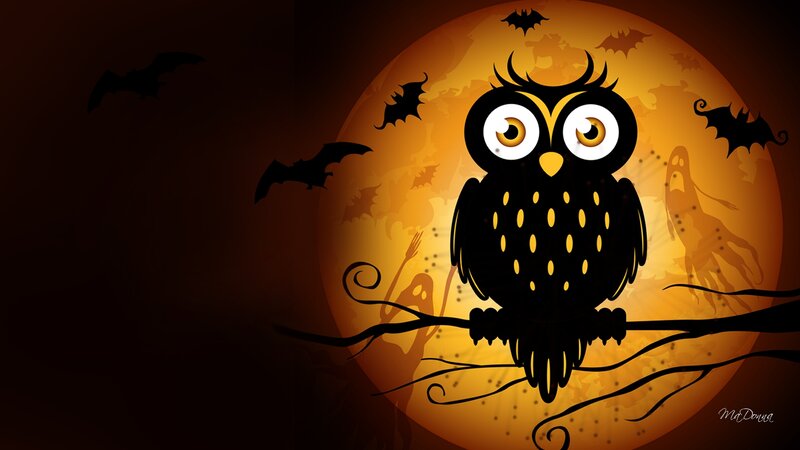 Cartoon Owl on Branch — Black