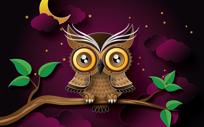Cartoon Owl on Branch