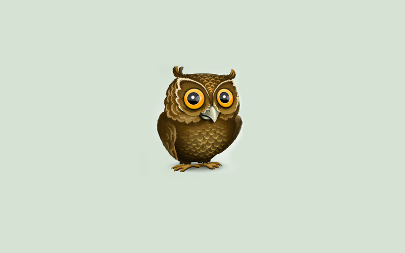 Cartoon Owl