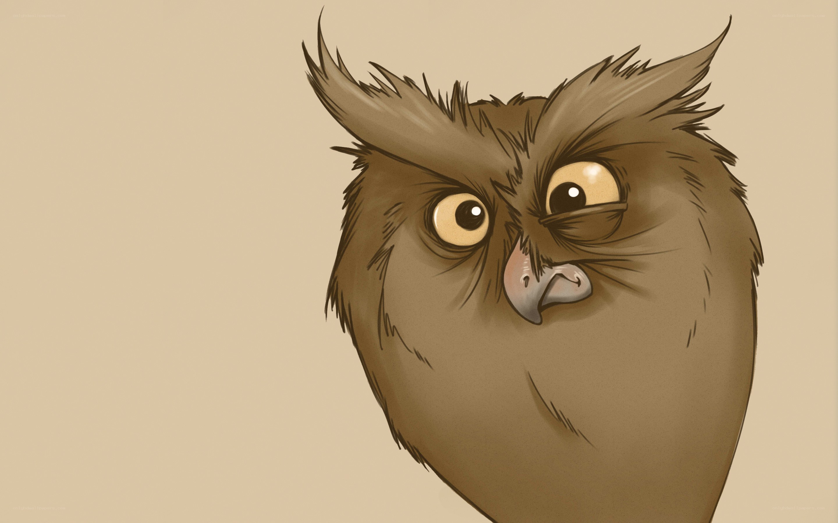 cartoon owl with angry eyes