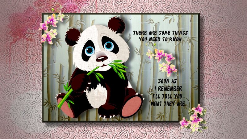 Cartoon Panda Eating Bamboo — White, Calm