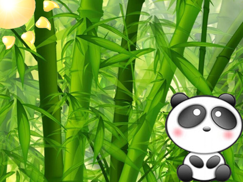 Cartoon Panda in Bamboo