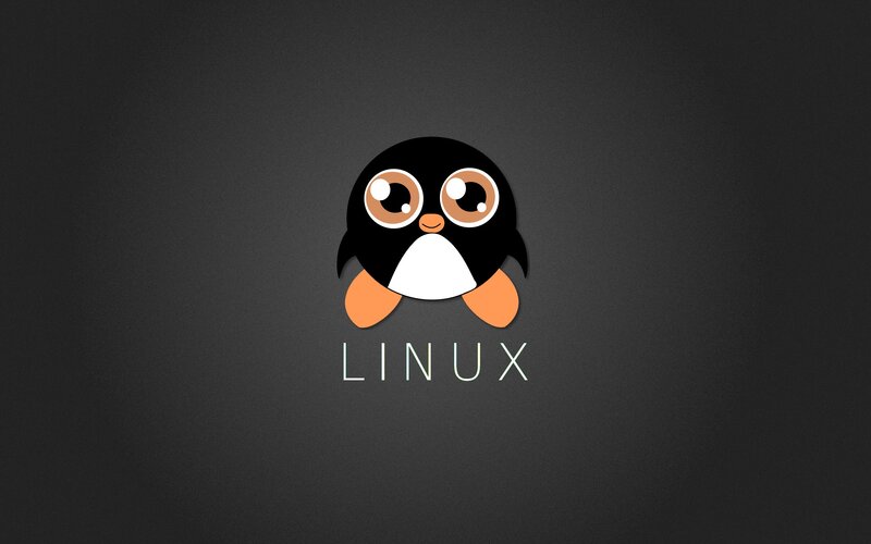 Cartoon Penguin Character — Black