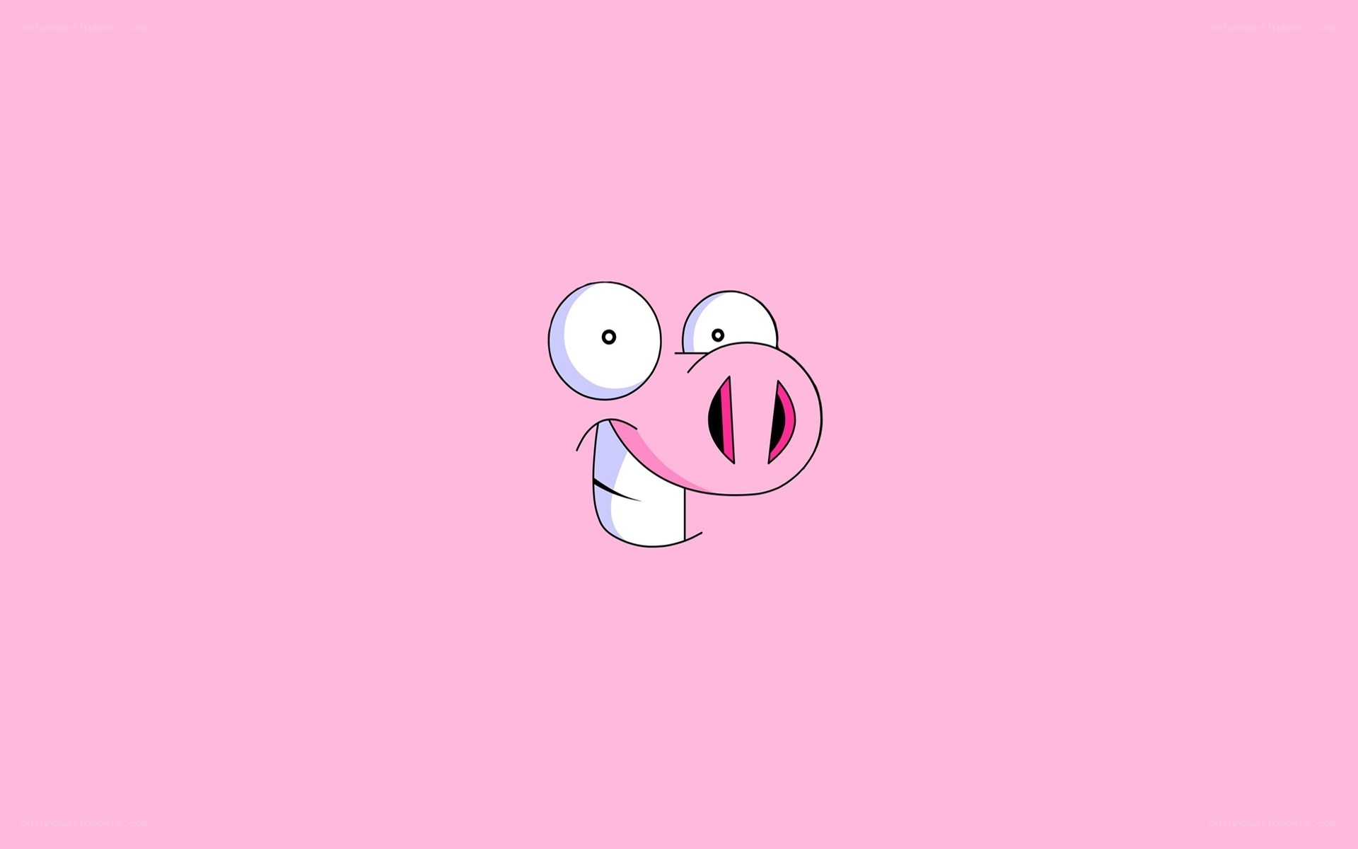 cartoon pig face