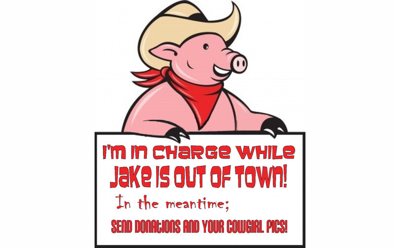 Cartoon Pig Holding Sign