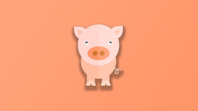 Cartoon Pig Illustration
