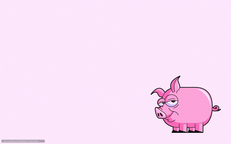 cartoon pig on pink background