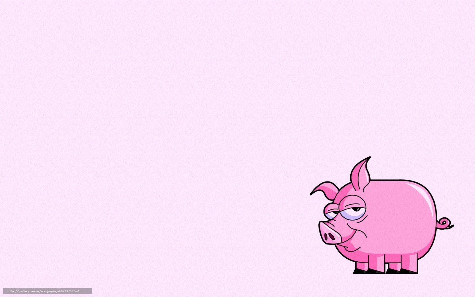 cartoon pig on pink background