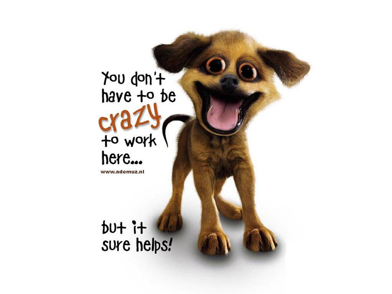 Cartoon Puppy