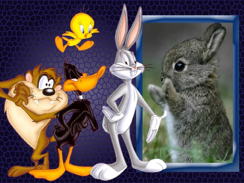 Cartoon Rabbit and Friends