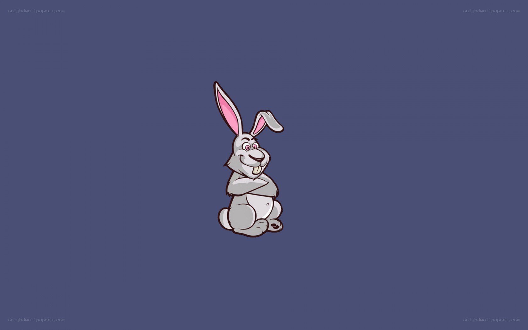cartoon rabbit character