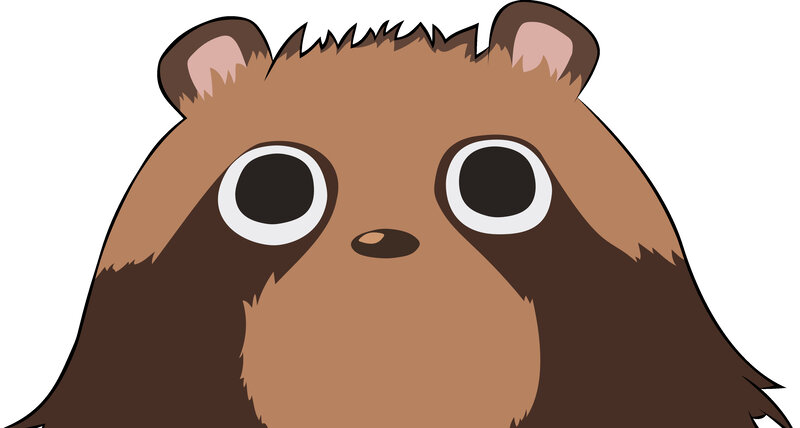 cartoon raccoon face