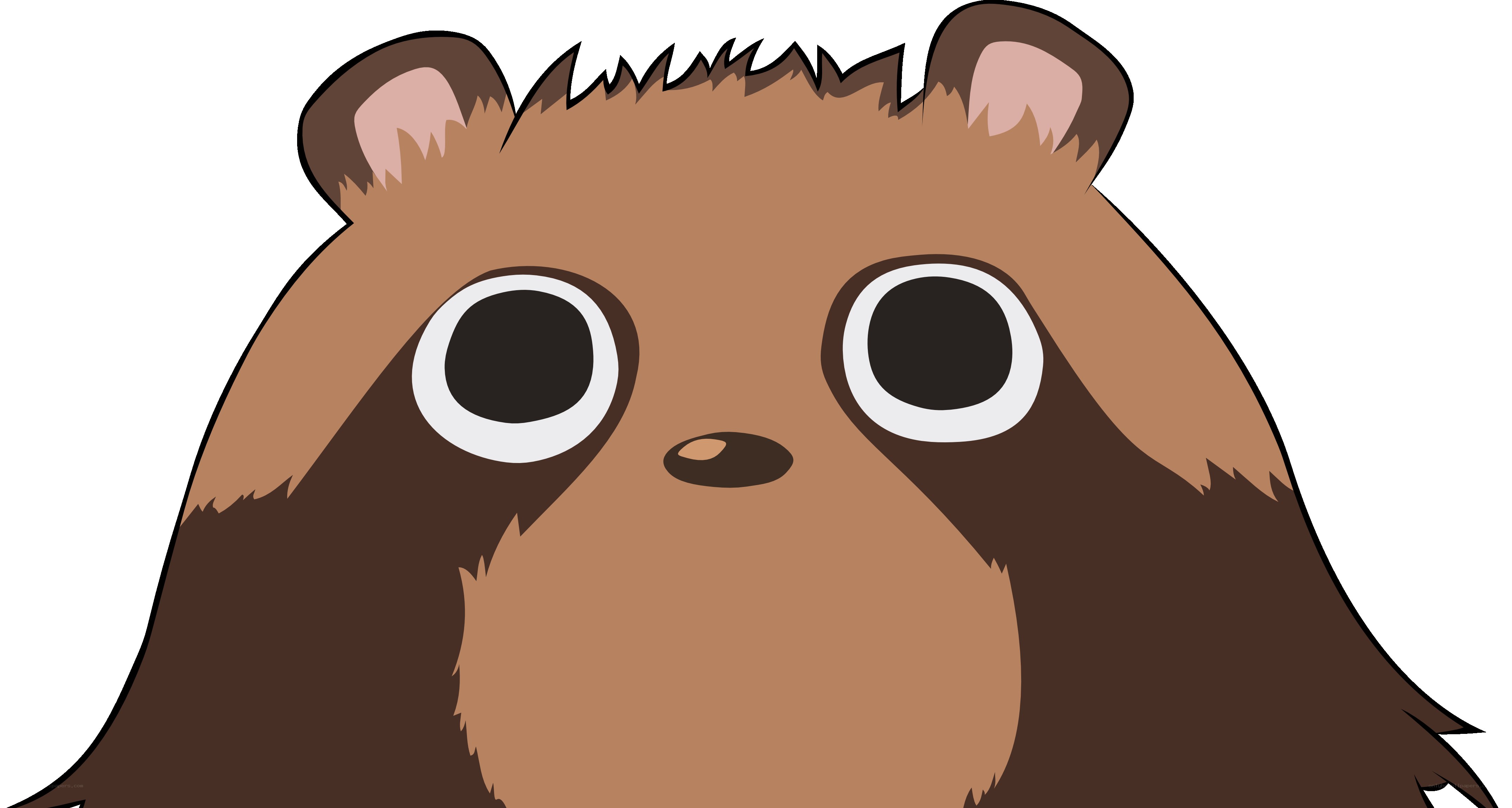 cartoon raccoon face